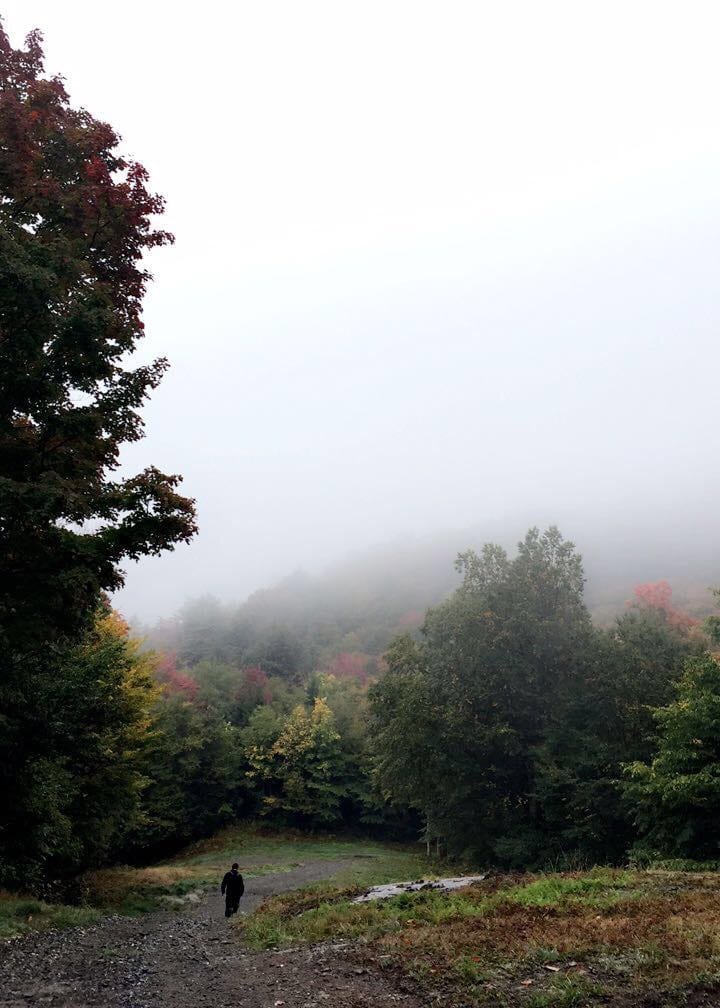 Vermont Fog