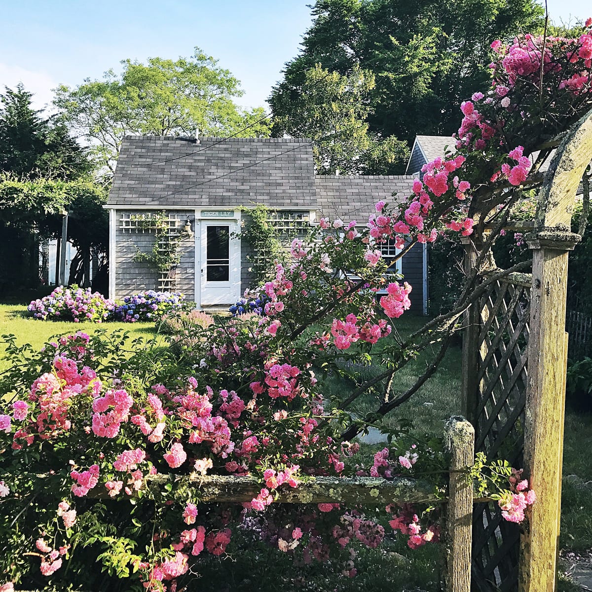 Tiger Lily Nantucket Cottage