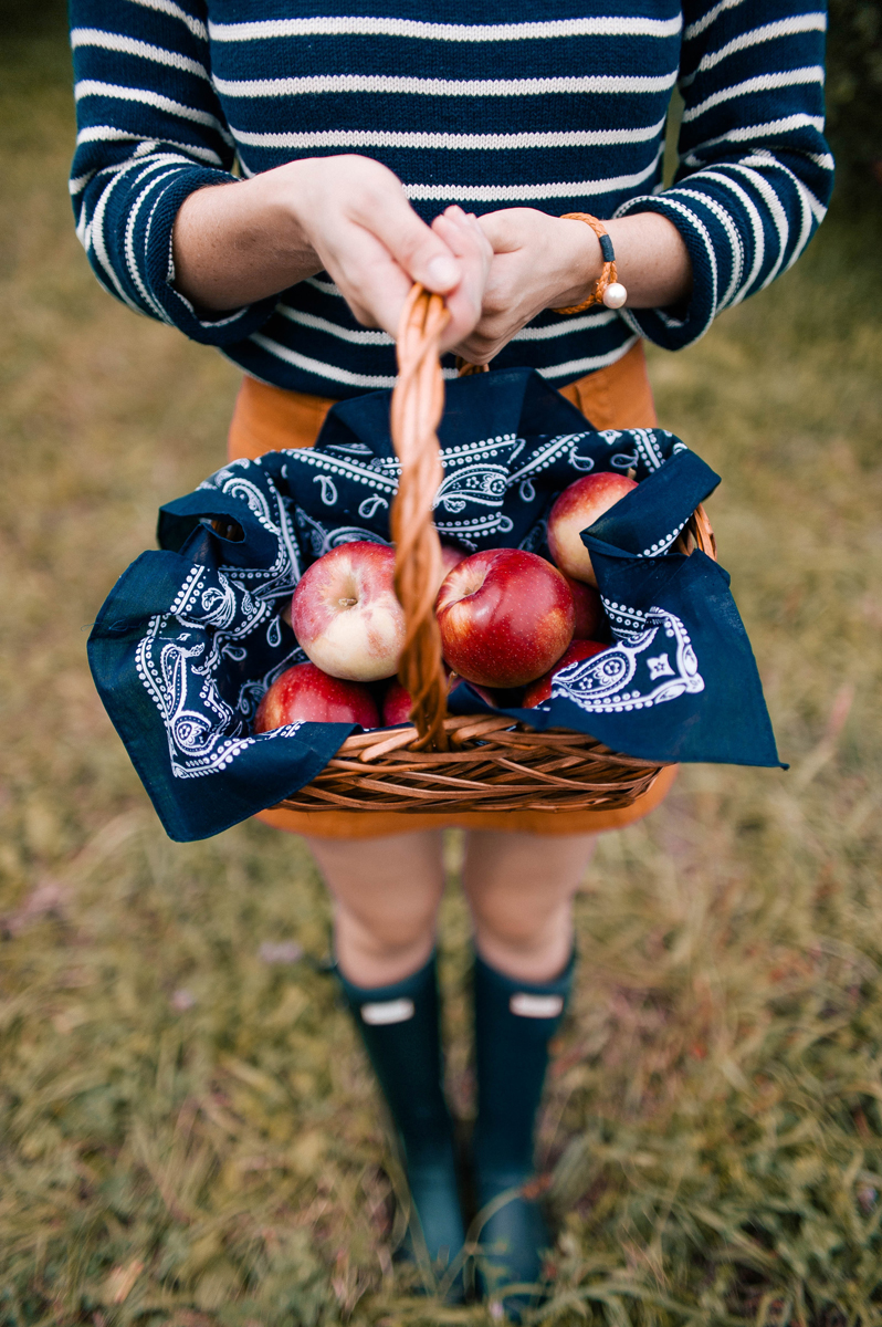 Apple Picking Basket