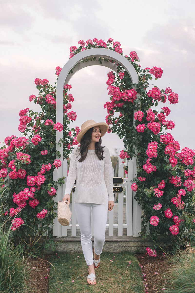 J crew clearance beach sweater