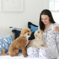 Carly Heitlinger sits on the daybed in her office wearing pajamas with her two dogs and a cup of coffee!