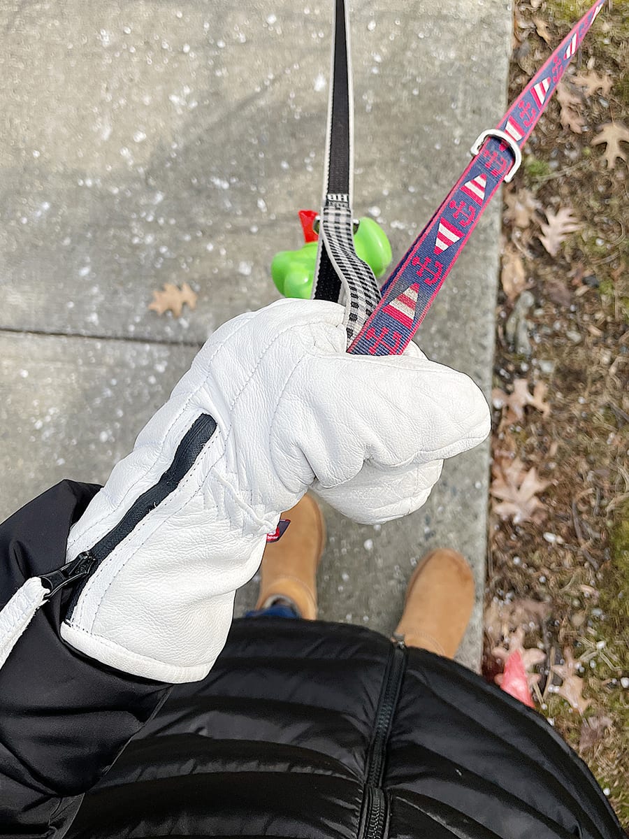 skiing gloves | DIARY No.48 