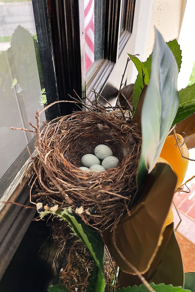 ON MY RADAR 4.16.21 eggs nest