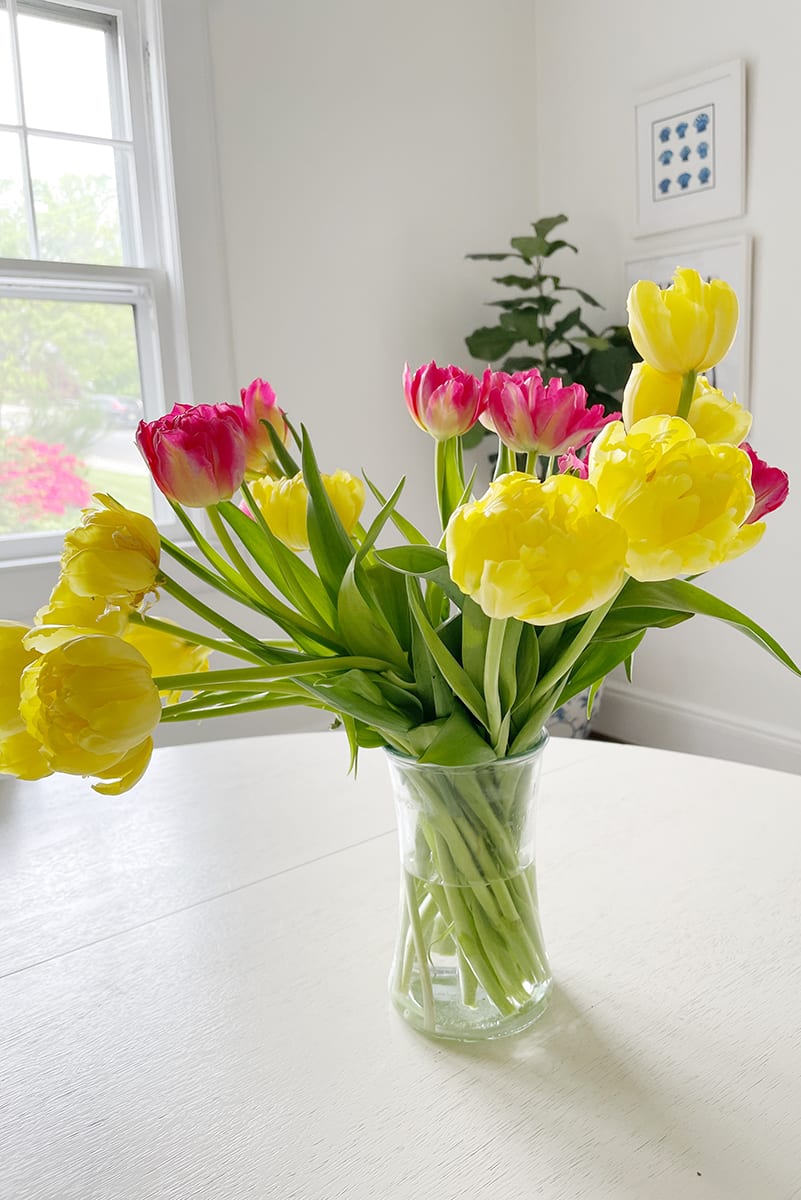 mother's day tulips