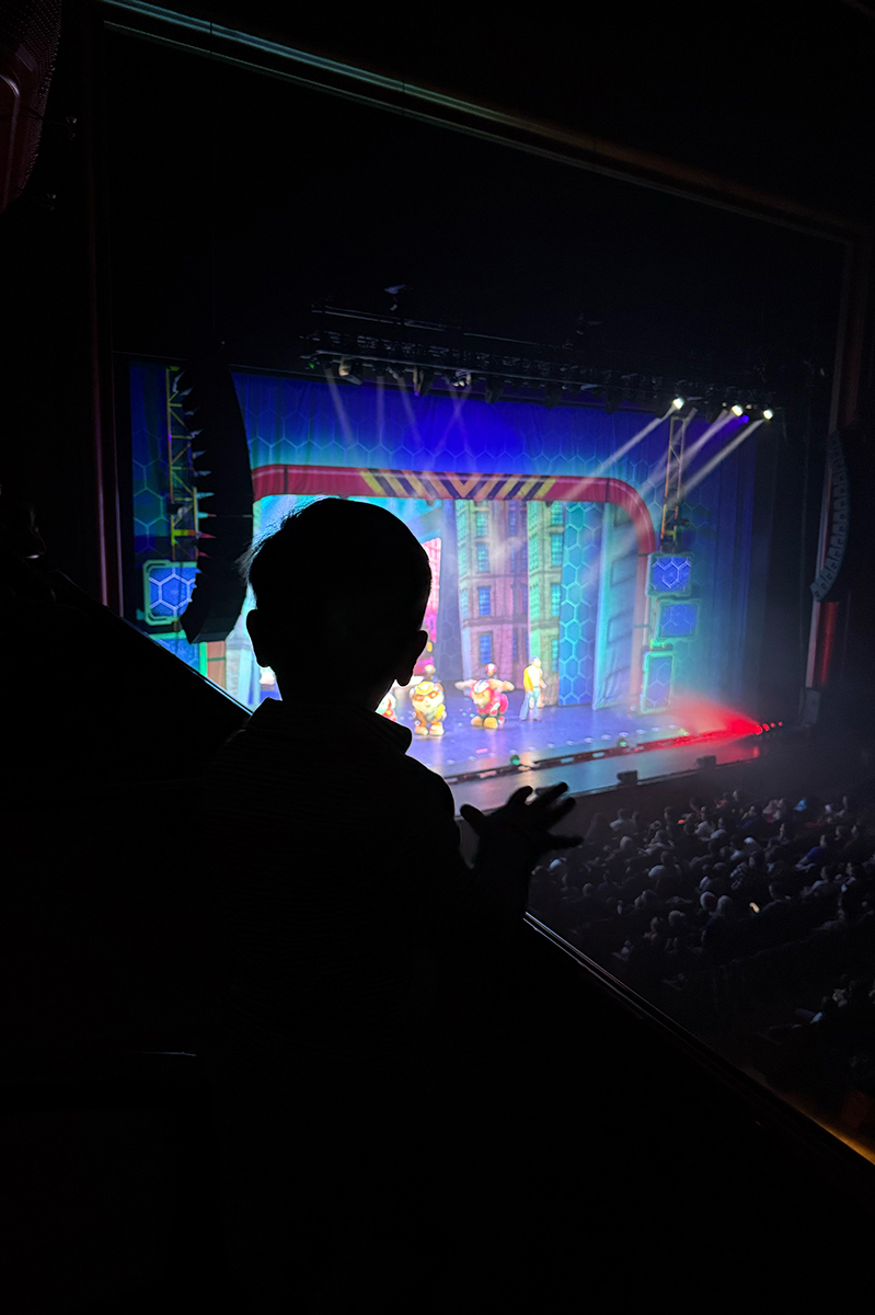 A silhouette in front of a Paw Patrol Live stage